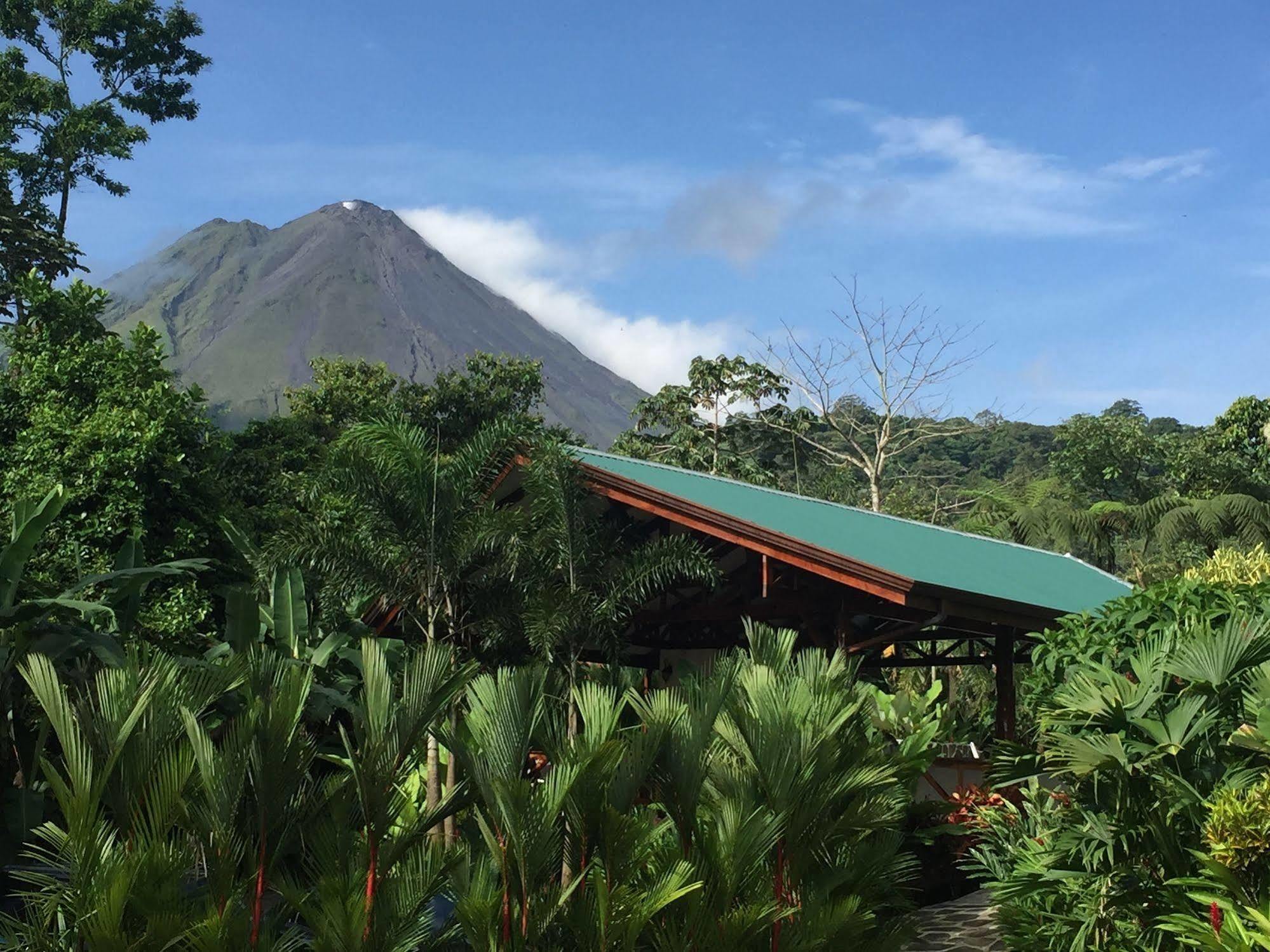 Готель Mussaenda, Arenal La Fortuna Екстер'єр фото